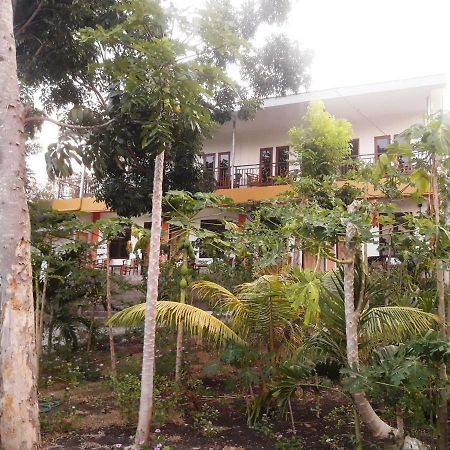 The Teuz B&B Labuan Bajo Eksteriør billede