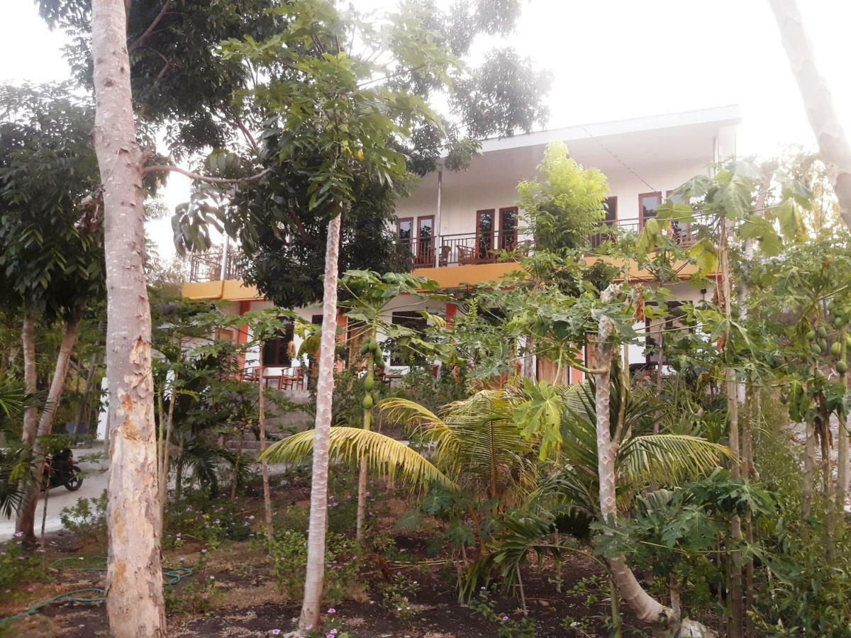 The Teuz B&B Labuan Bajo Eksteriør billede