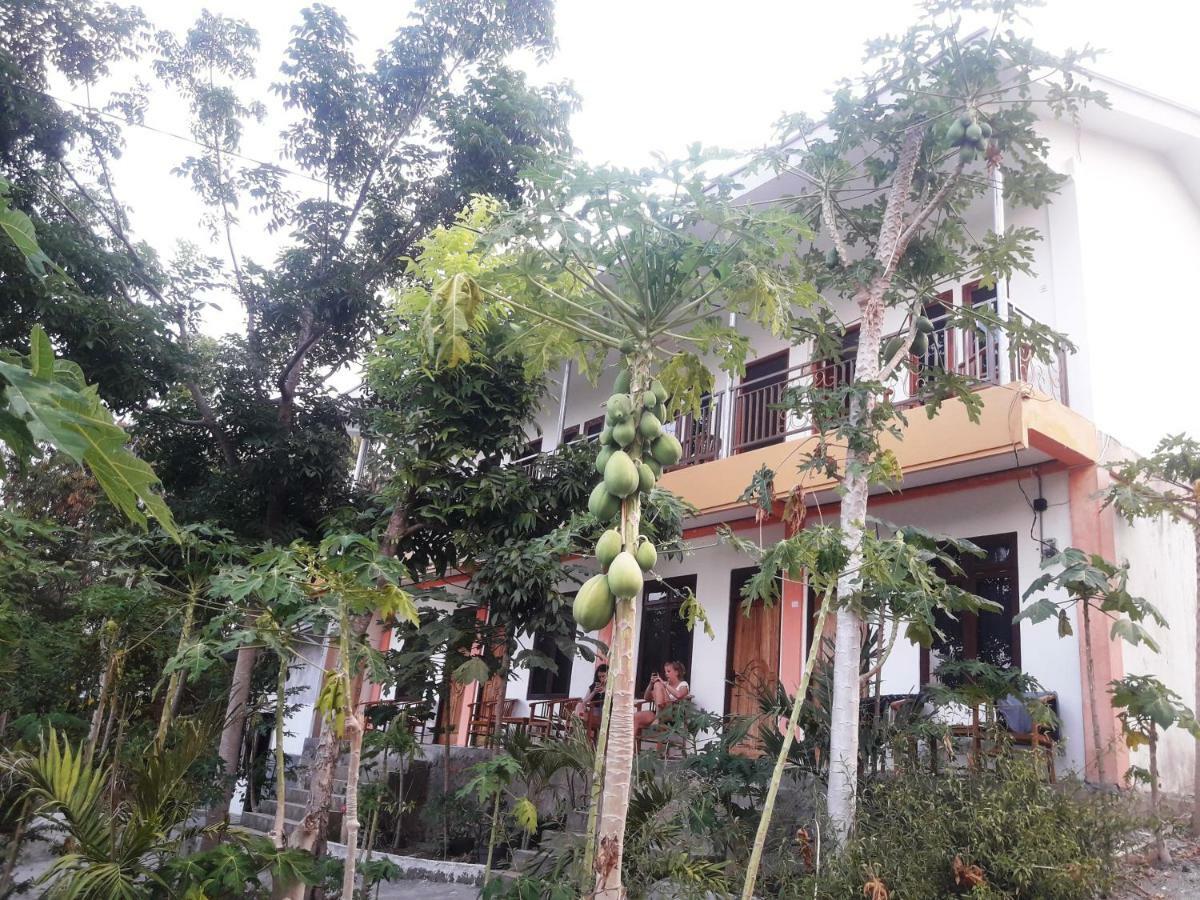 The Teuz B&B Labuan Bajo Eksteriør billede